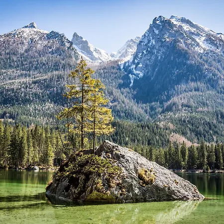 Apartamento Scheffmannlehen Nr 2 *