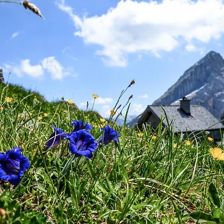 Scheffmannlehen Nr 2 Ramsau bei Berchtesgaden