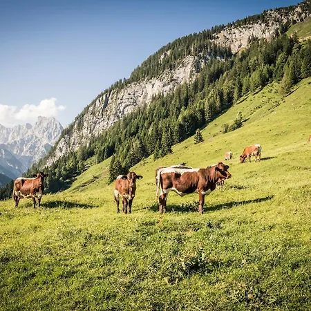 Scheffmannlehen Nr 2 Ramsau bei Berchtesgaden