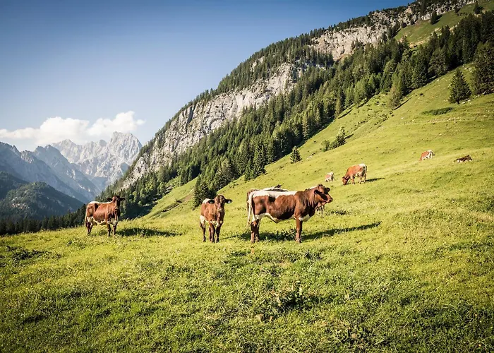 Scheffmannlehen Nr 2 Ramsau bei Berchtesgaden